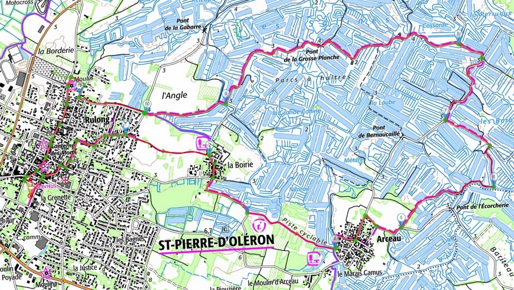 Parcs à huitres de Saint-Pierre-d'Oléron