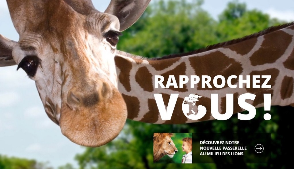 Parc animalier d'Ardes sur Couze.
