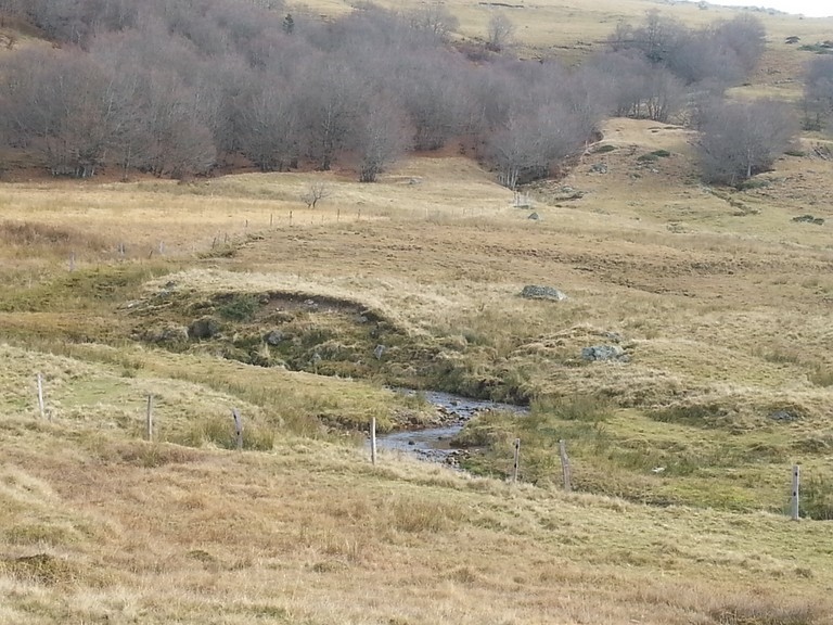 La fontaine salée - ruisseau.