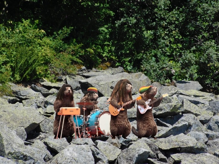 Marmottes.