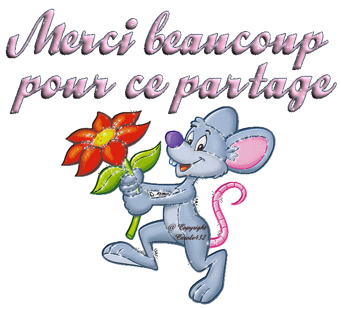 Merci beaucoup.