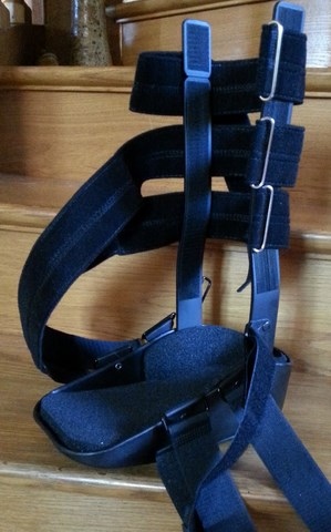 Botte