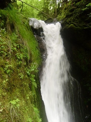Cascade du plat à barbe.