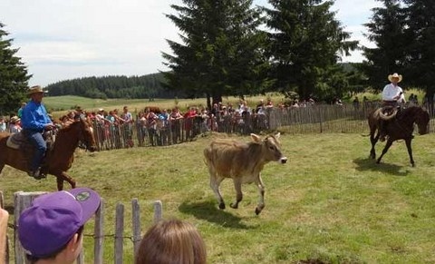 Fête de l'estive à Besse et St Anastaise.