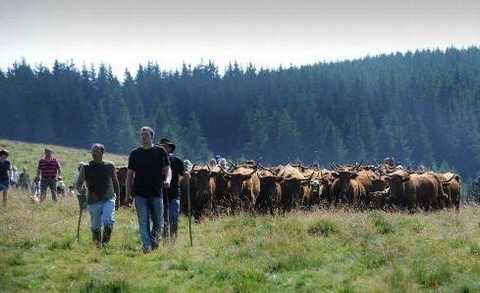 Fête de l'estive à Besse et St Anastaise.