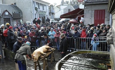 La St Cochon à Besse et St Anastaise.