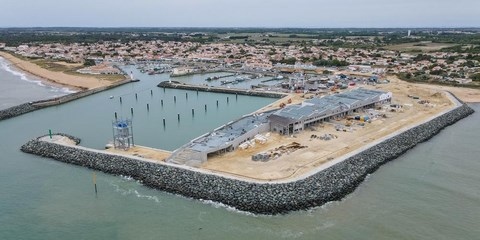 Cotinière