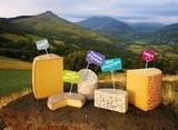 Les 5 fromages auvergnats.