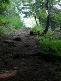 Joli chemin.