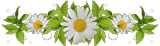 Barre fleurs.