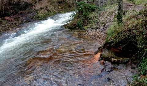 Les sources de Renlaigue